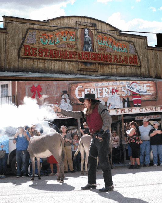 Things To Do In Oatman,AZ