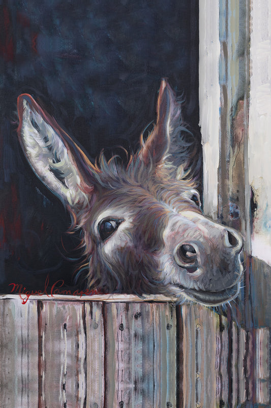 Rustic donkey painting portrait by Miguel Camarena featuring a curious donkey peeking over a wooden barn fence with a dark background