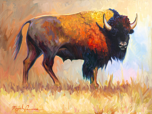 Rocky Mountain bison painting on canvas by Miguel Camarena