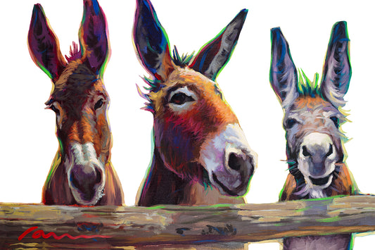 [DO#0018] WBG Tres Donkeys