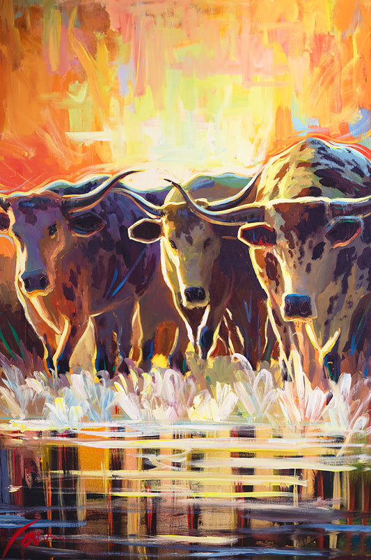 Longhorn Cattle Art Print