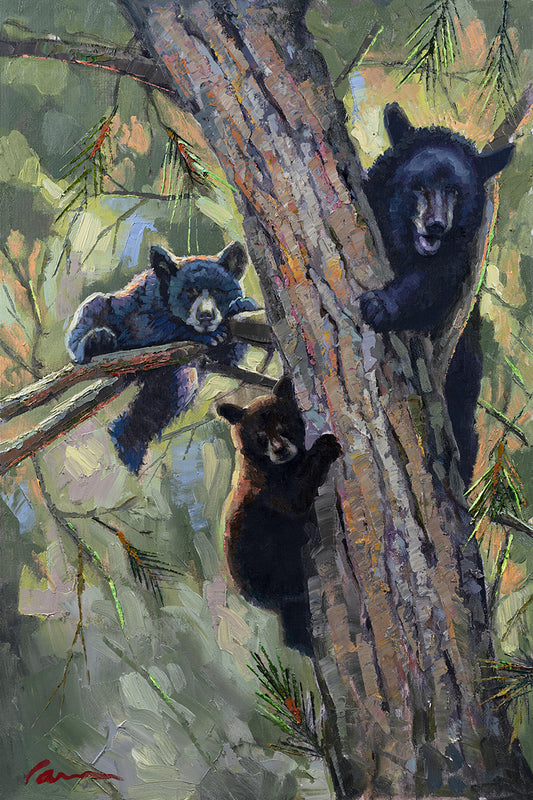 Three Bears (BE#001)