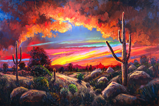 [DL#040] Arizona Majestic Tuscon Desert Sunset