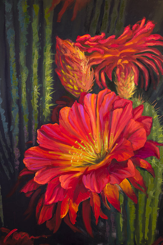 [FO#001] Cactus Flower