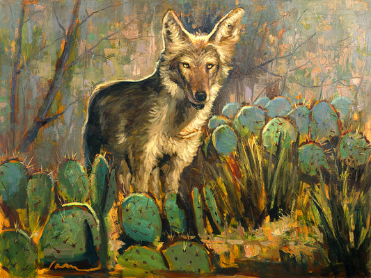 Desert Coyote Wall Art Prints With Prickly Pear Cactus