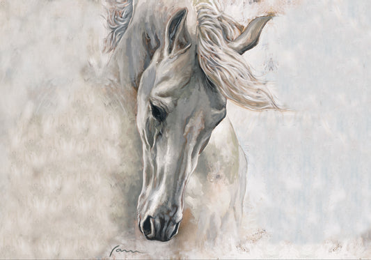 Pearl Cream Stallion (HO#023)