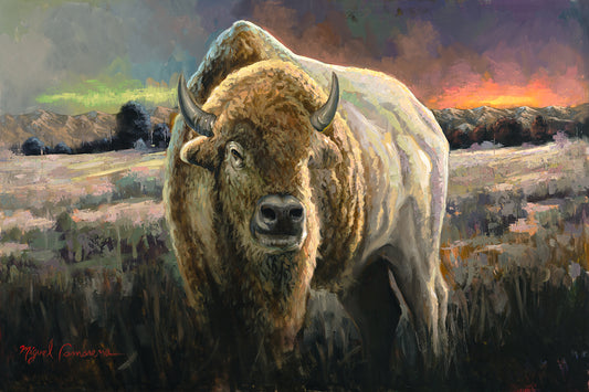 Rare White Buffalo (BU#006)