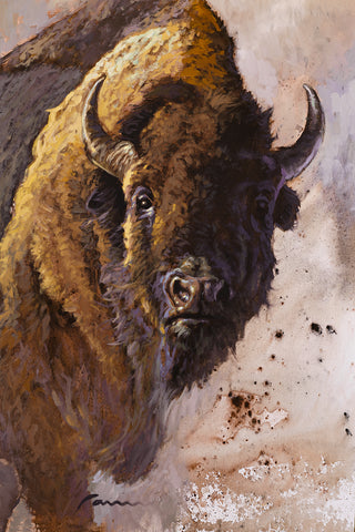 Buffalo Paintings for Sale - Miguel Camarena Art Gallery