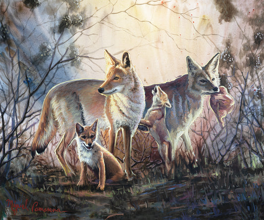 [DA#003] Coyote Family