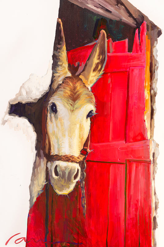 [DO#003] Red Donkey Door - Donkey Peek Outside The Red Door, Canvas Prints For Sale