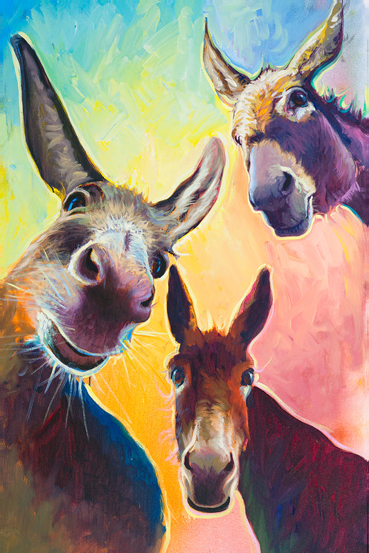 Three Curious Funny Donkeys In A colorful Wall Art Prints