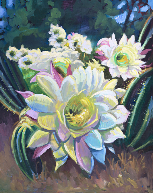 [FO#004] White Flower Cactus