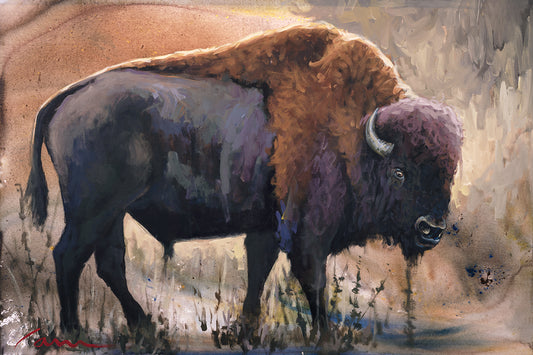 Western buffalo painting on canvas by Miguel Camarena