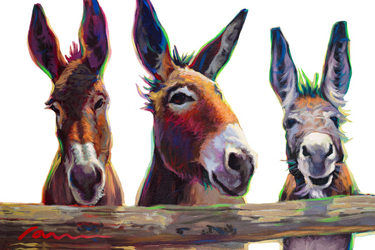 White Background Tres Donkeys (DO#018)